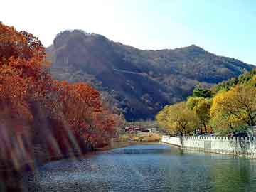 大三巴一肖二码最准，南京排水板